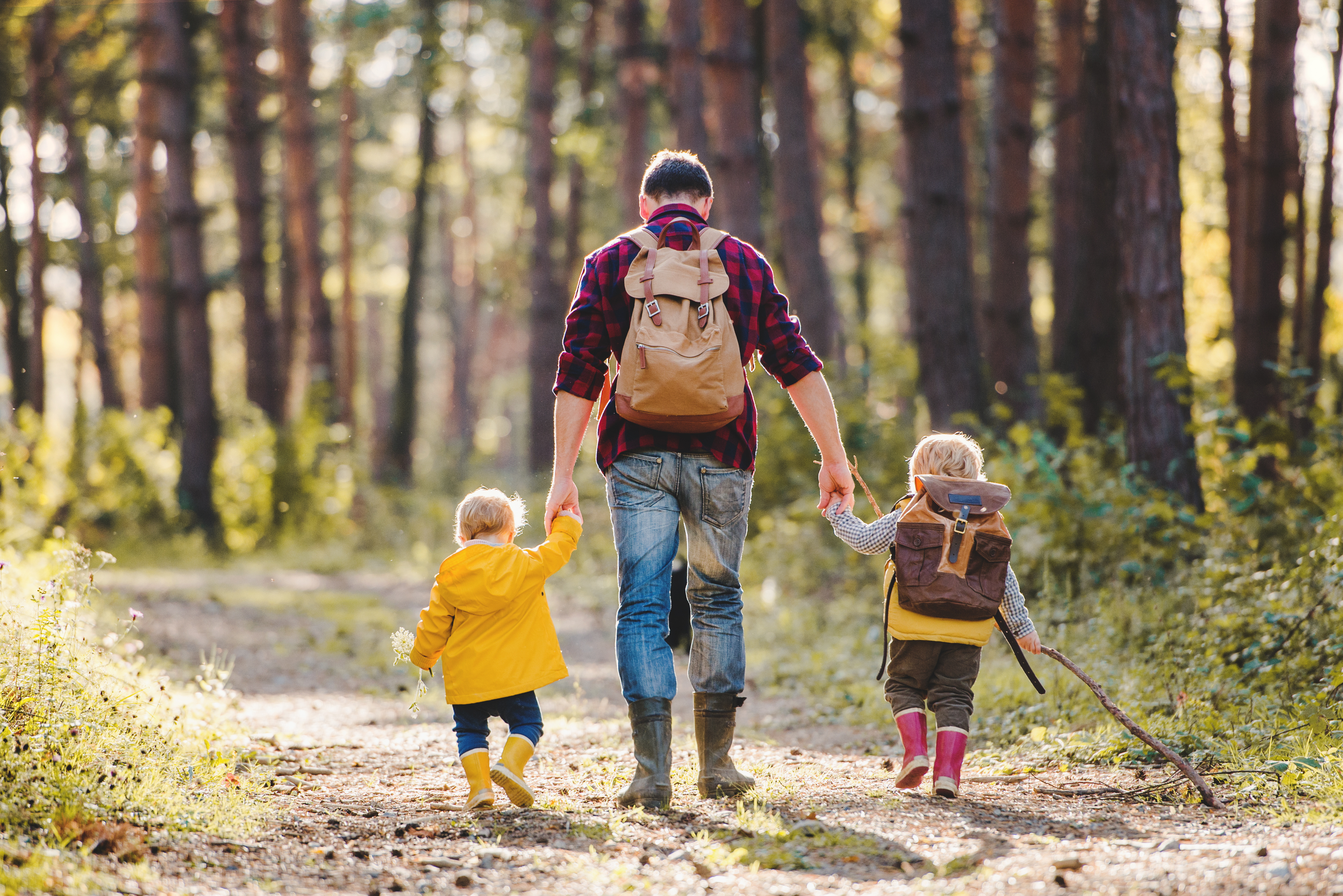 A father and two young children walk hand in hand down a sunlit forest path